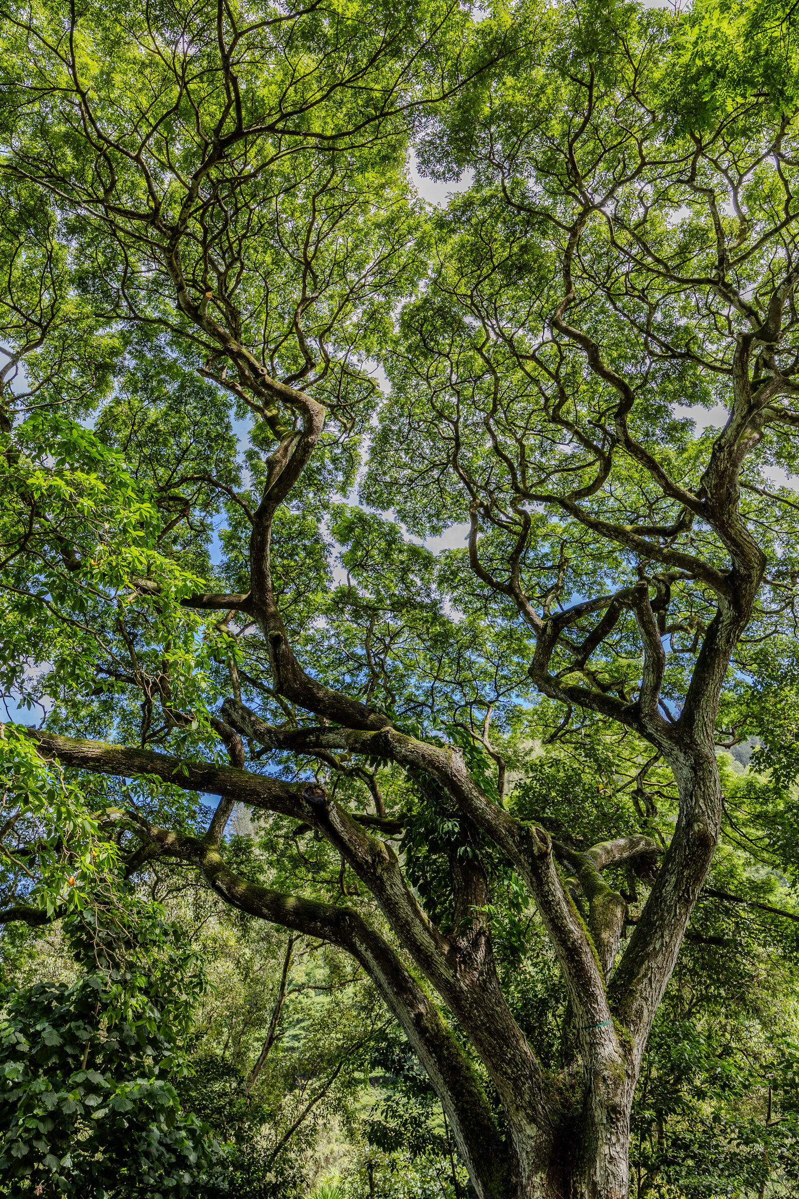 Arboretum Exit Trail